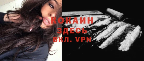 прущая мука Каменка