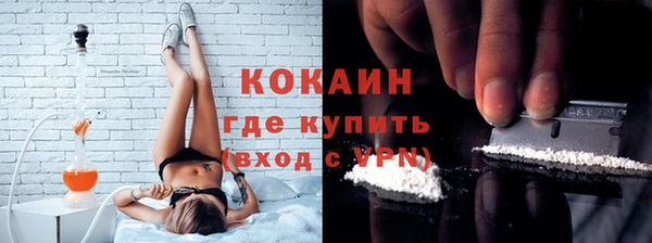 молекула духа Каменногорск