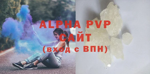 молекула духа Каменногорск