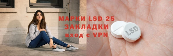 молекула духа Каменногорск