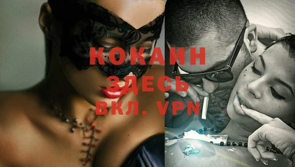 прущая мука Каменка