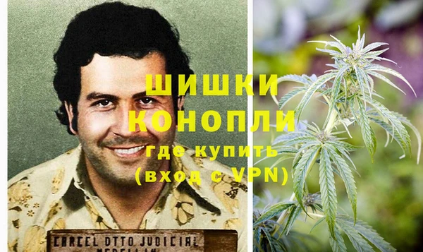 прущая мука Каменка