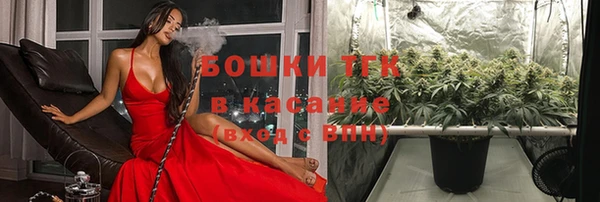 прущая мука Каменка