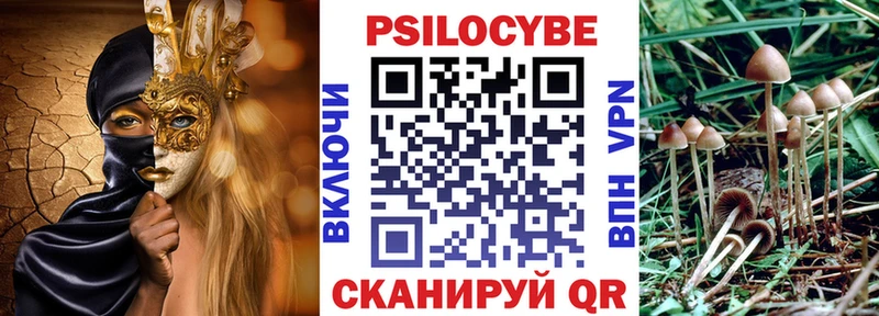 Псилоцибиновые грибы прущие грибы  Хасавюрт 