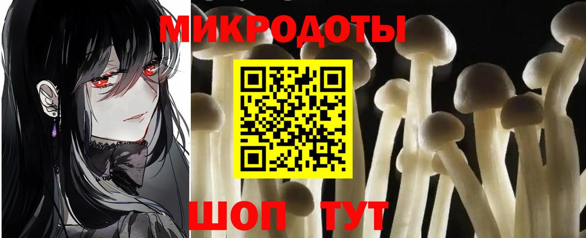 дарнет шоп  Вход с VPN  Хасавюрт  Псилоцибиновые грибы MAGIC MUSHROOMS 